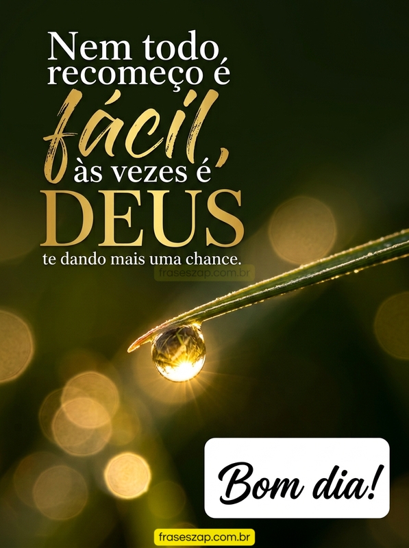Imagem de bom dia para compartilhar no WhatsApp