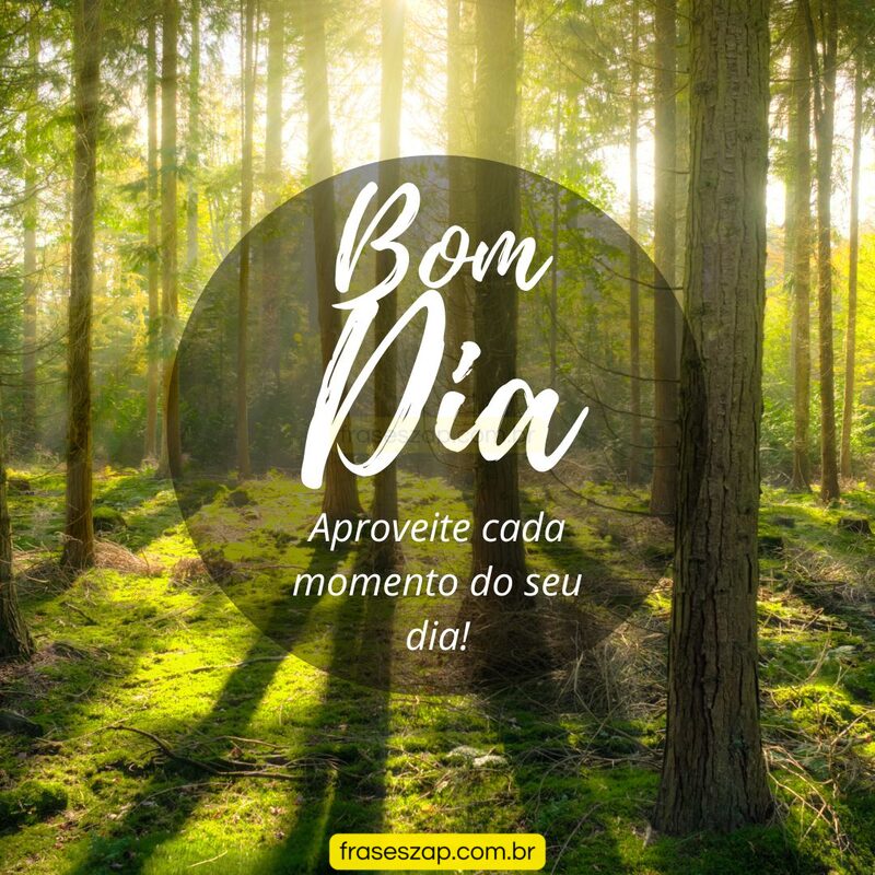 Imagem de bom dia para compartilhar no WhatsApp