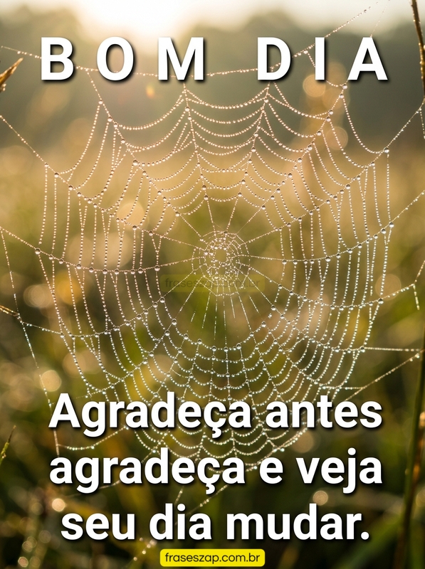 Imagem de bom dia para compartilhar no WhatsApp