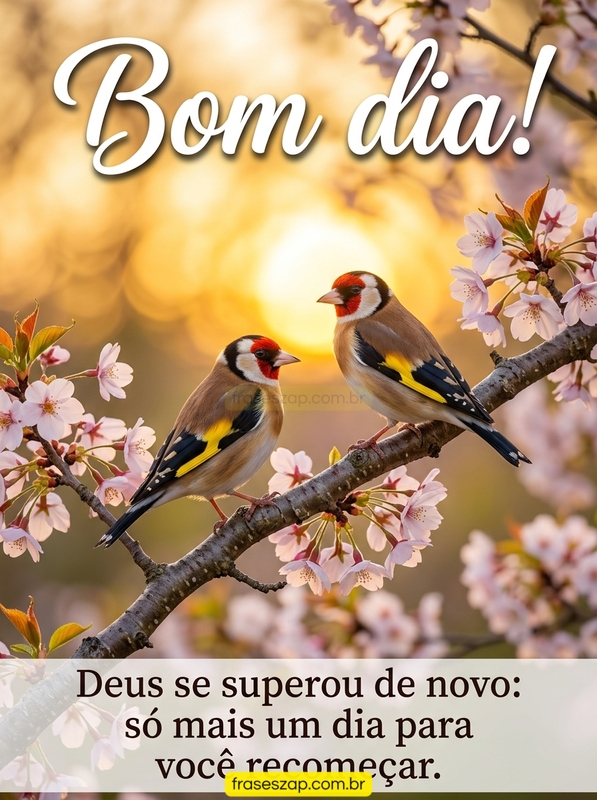 Imagem de bom dia para compartilhar no WhatsApp