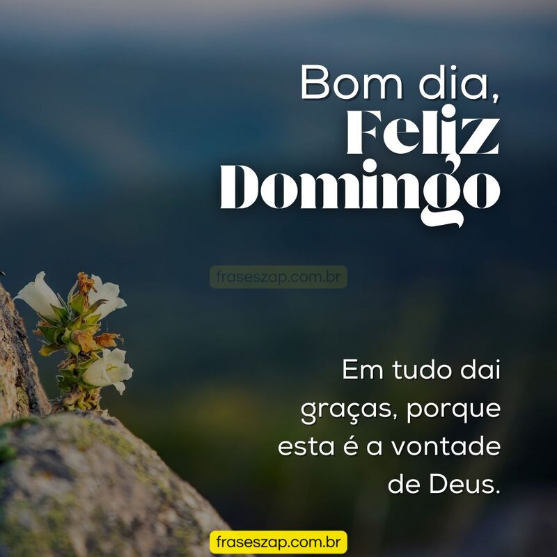 Imagem de domingo para compartilhar no WhatsApp