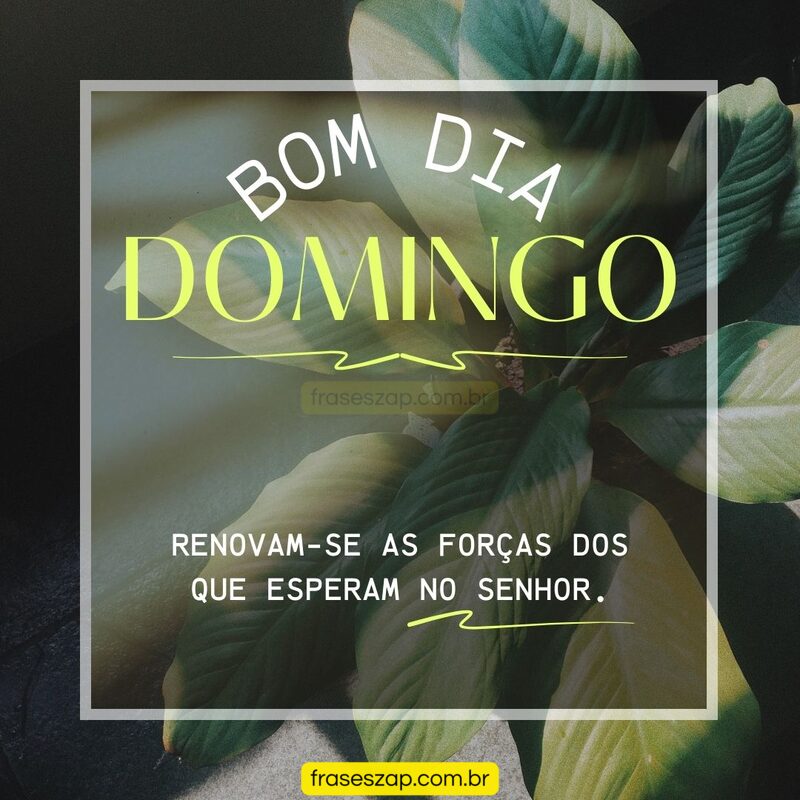Imagem de domingo para compartilhar no WhatsApp