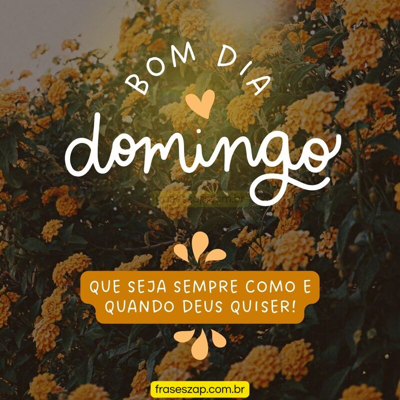Imagem de domingo para compartilhar no WhatsApp