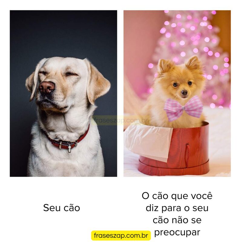 Imagem de mensagens engraçadas para compartilhar no WhatsApp
