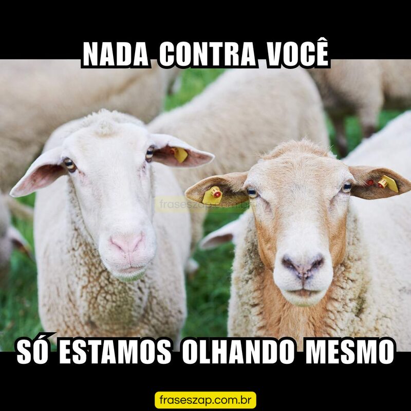 Imagem de mensagens engraçadas para compartilhar no WhatsApp