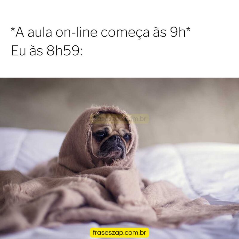 Imagem de mensagens engraçadas para compartilhar no WhatsApp