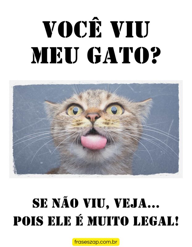 Imagem de mensagens engraçadas para compartilhar no WhatsApp