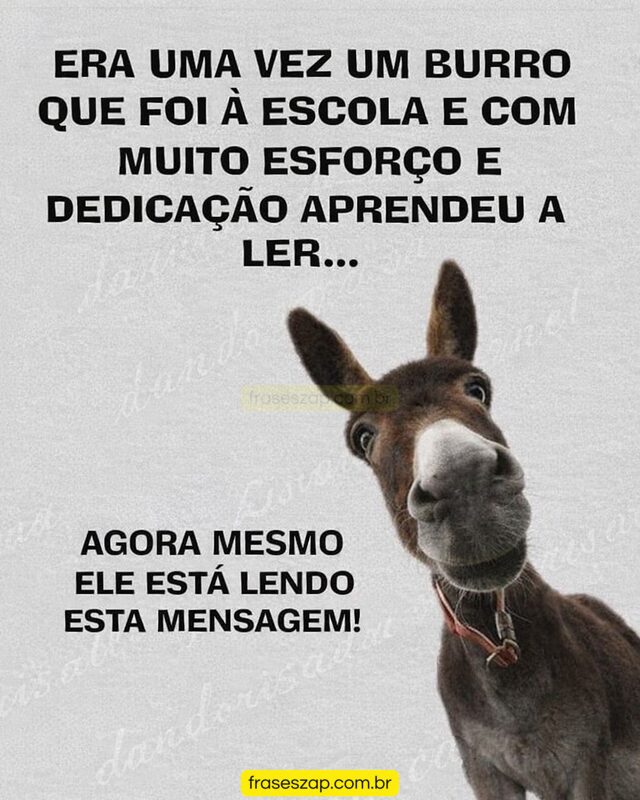 Imagem de mensagens engraçadas para compartilhar no WhatsApp