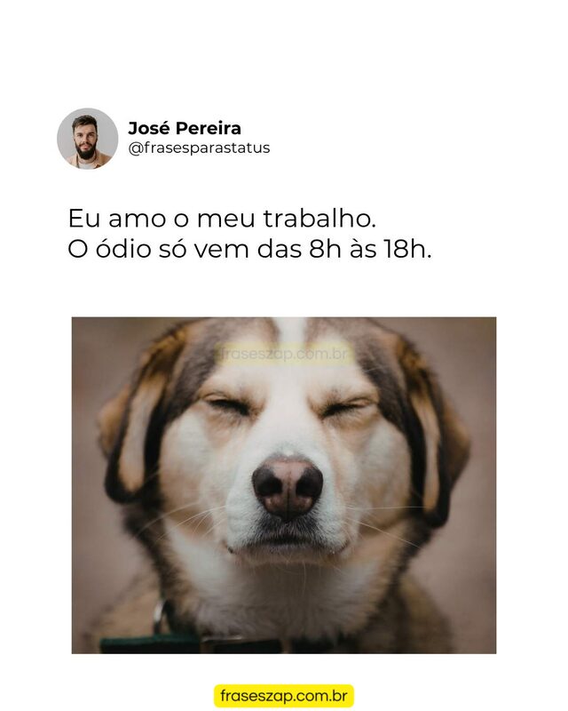 Imagem de mensagens engraçadas para compartilhar no WhatsApp