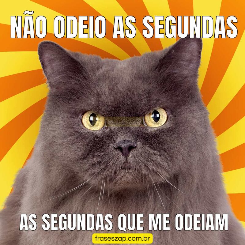Imagem de mensagens engraçadas para compartilhar no WhatsApp