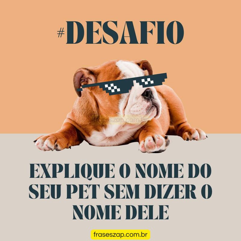 Imagem de mensagens engraçadas para compartilhar no WhatsApp