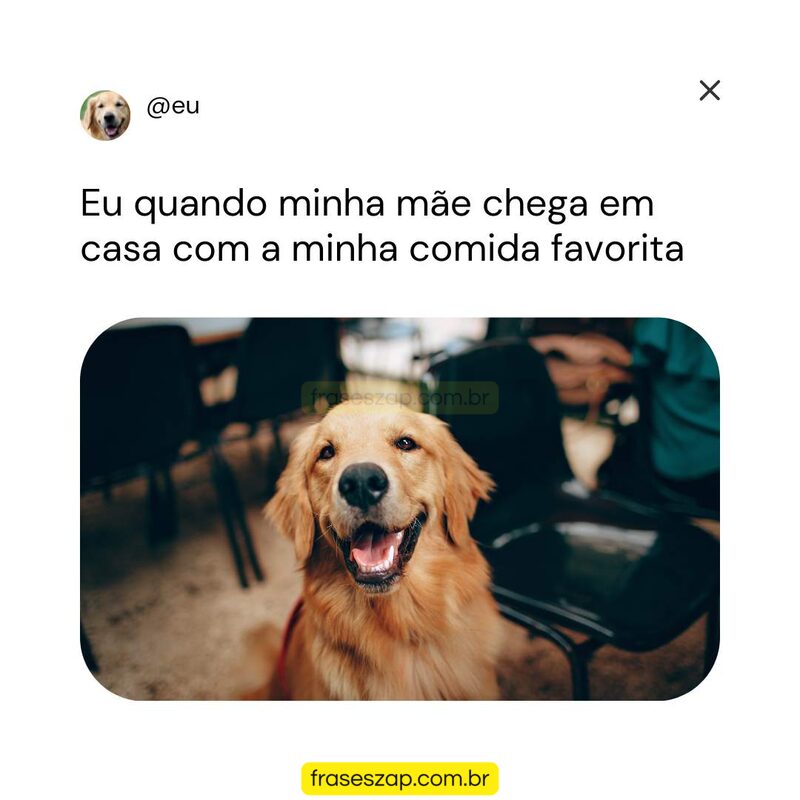 Imagem de mensagens engraçadas para compartilhar no WhatsApp