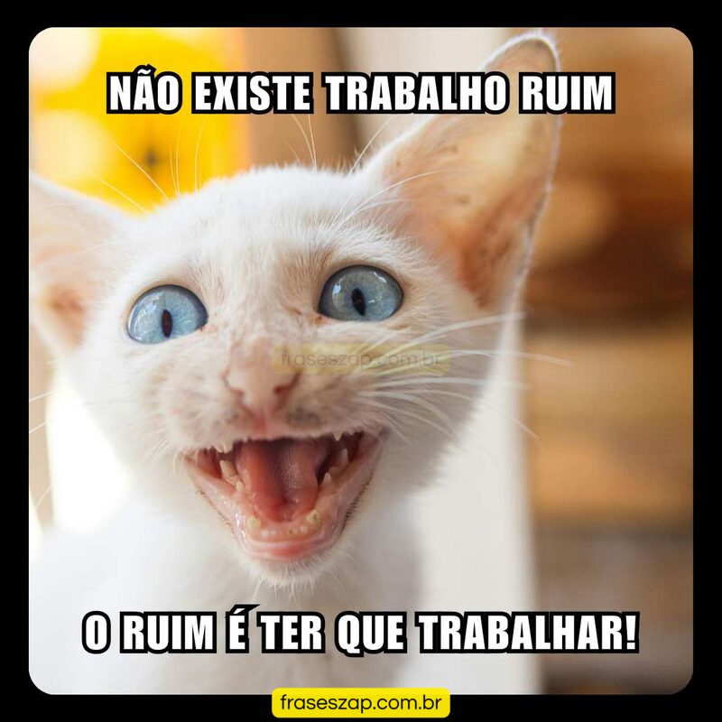 Imagem de mensagens engraçadas para compartilhar no WhatsApp