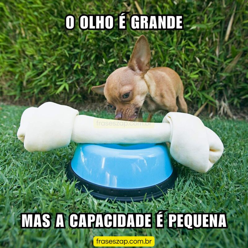 Mensagens Engraçadas