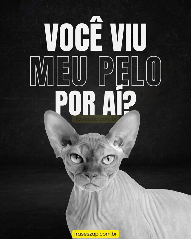 Imagem de mensagens engraçadas para compartilhar no WhatsApp