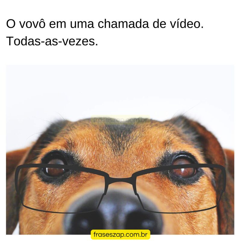 Imagem de mensagens engraçadas para compartilhar no WhatsApp