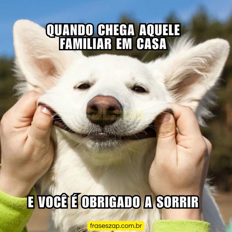 Imagem de mensagens engraçadas para compartilhar no WhatsApp