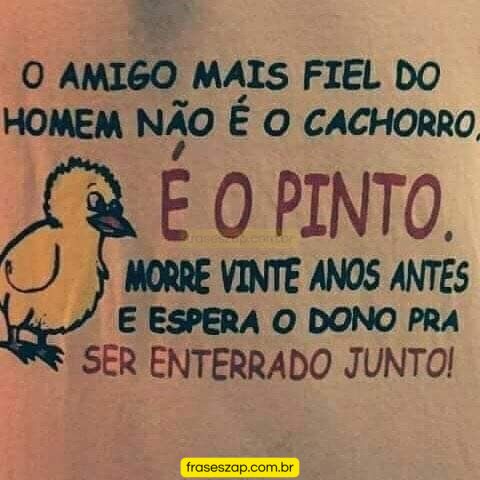 Imagem de mensagens engraçadas para compartilhar no WhatsApp