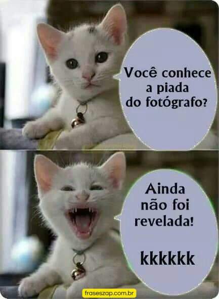 Imagem de mensagens engraçadas para compartilhar no WhatsApp