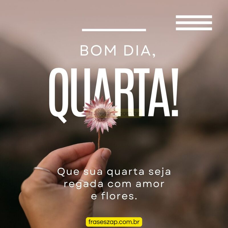Imagem de quarta-feira para compartilhar no WhatsApp