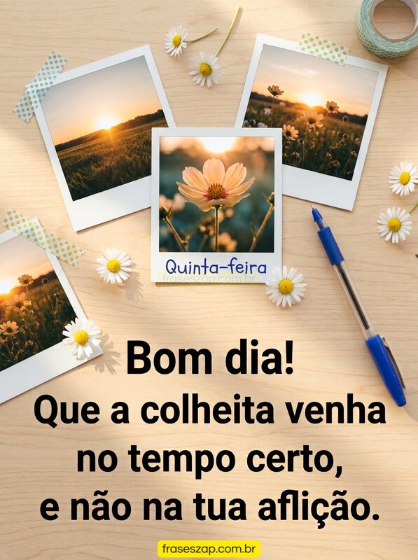 Imagem de quinta-feira para compartilhar no WhatsApp