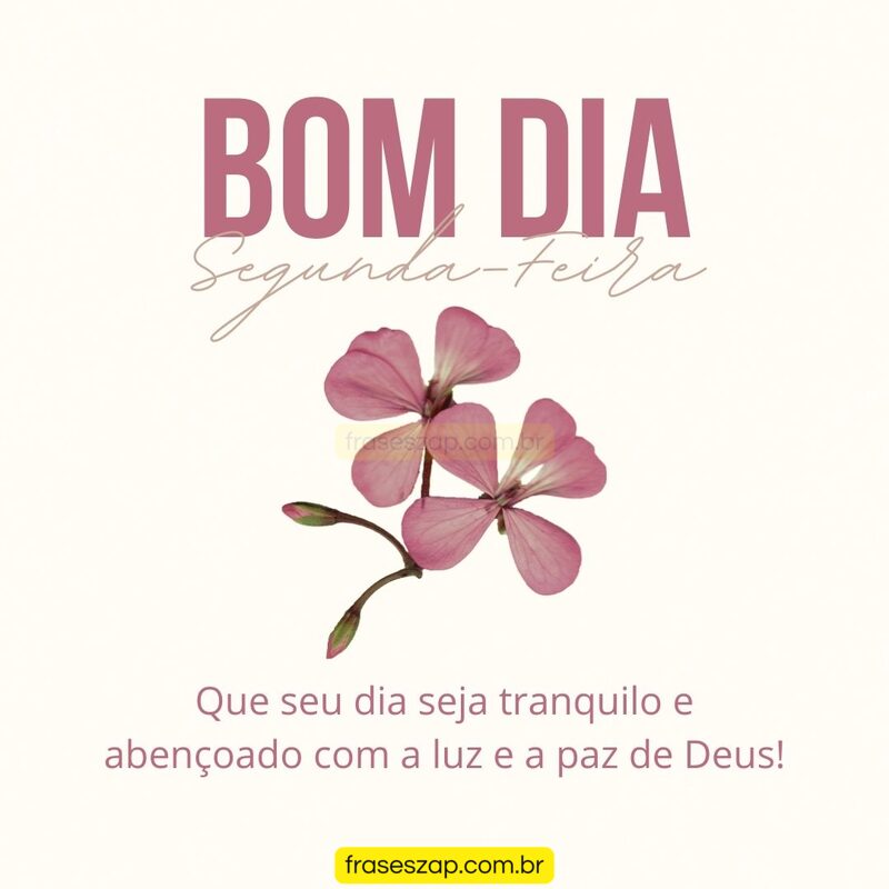 Imagem de segunda-feira para compartilhar no WhatsApp