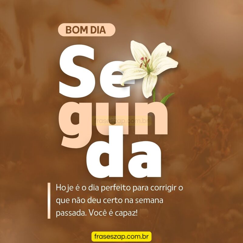 Imagem de segunda-feira para compartilhar no WhatsApp