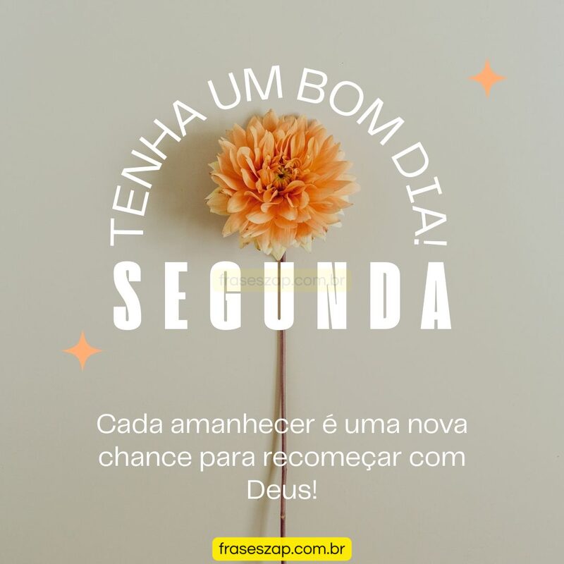 Imagem de segunda-feira para compartilhar no WhatsApp