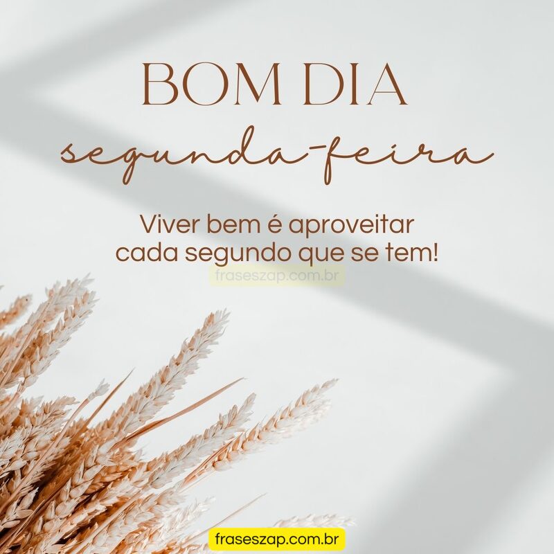 Imagem de segunda-feira para compartilhar no WhatsApp