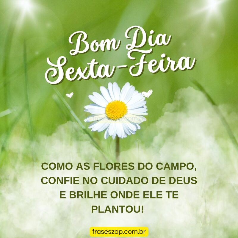 Imagem de sexta-feira para compartilhar no WhatsApp
