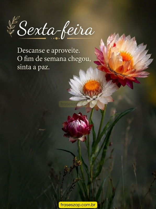 Imagem de sexta-feira para compartilhar no WhatsApp
