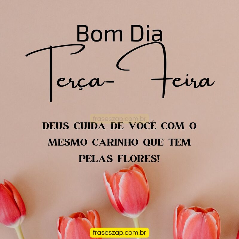 Imagem de terça-feira para compartilhar no WhatsApp
