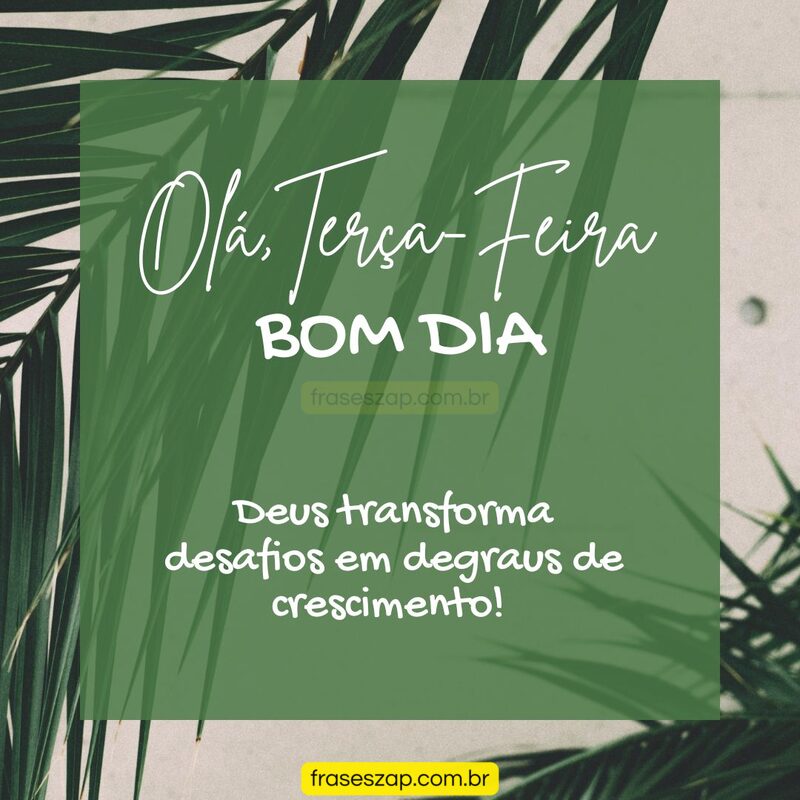 Imagem de terça-feira para compartilhar no WhatsApp
