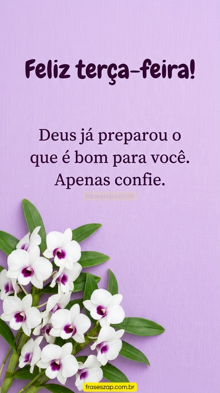 Imagem de terça-feira para compartilhar no WhatsApp