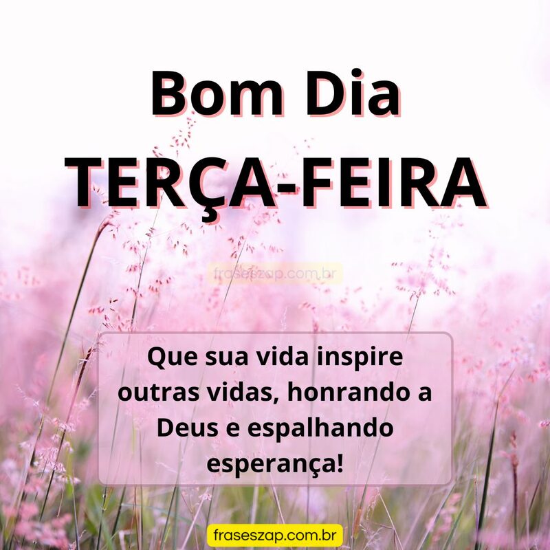 Imagem de terça-feira para compartilhar no WhatsApp