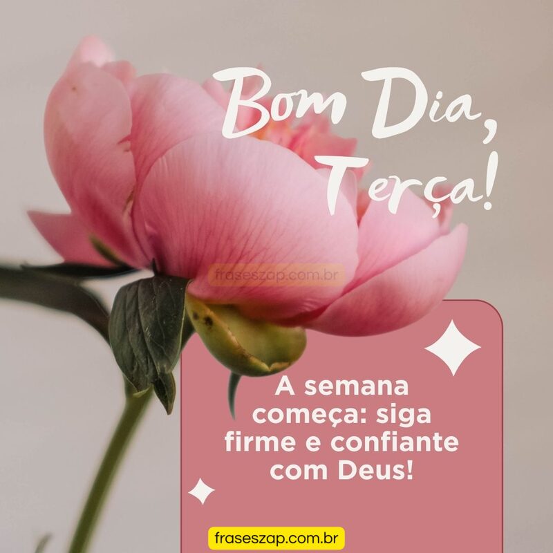 Imagem de terça-feira para compartilhar no WhatsApp