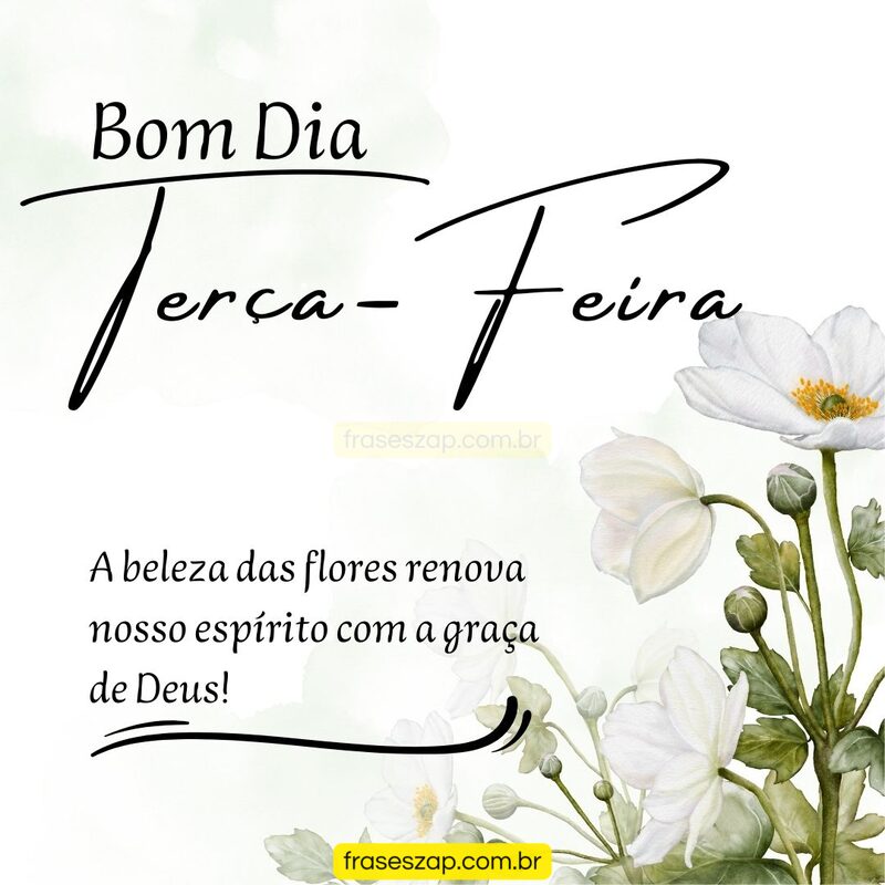 Imagem de terça-feira para compartilhar no WhatsApp
