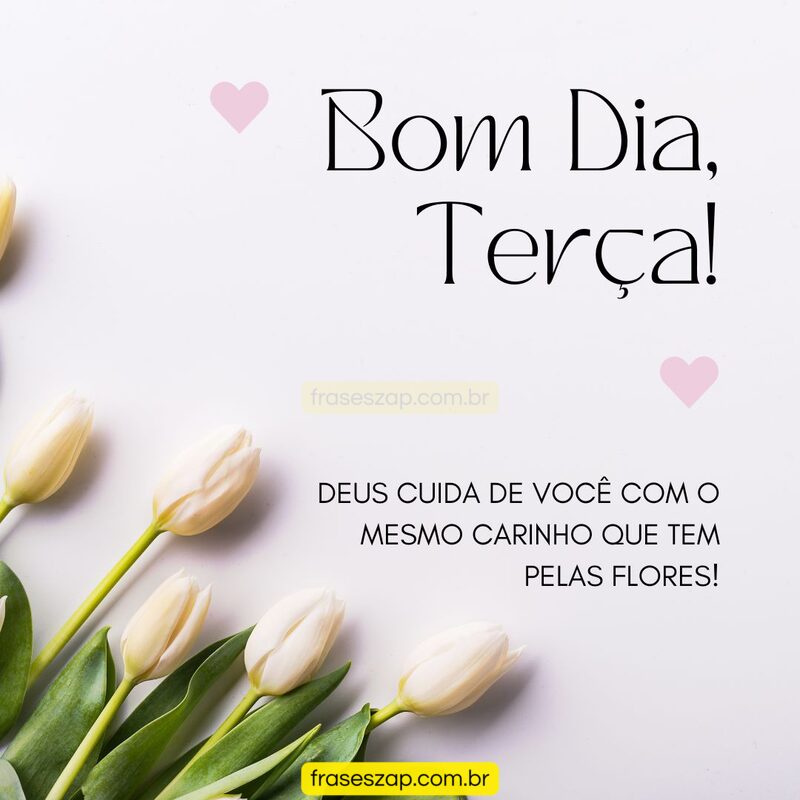 Imagem de terça-feira para compartilhar no WhatsApp