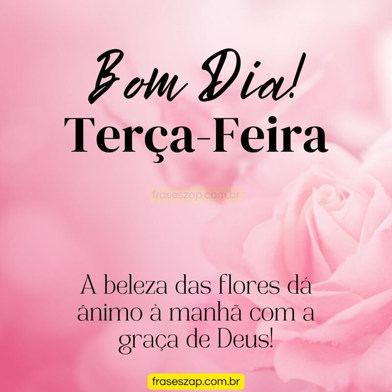 Imagem de terça-feira para compartilhar no WhatsApp