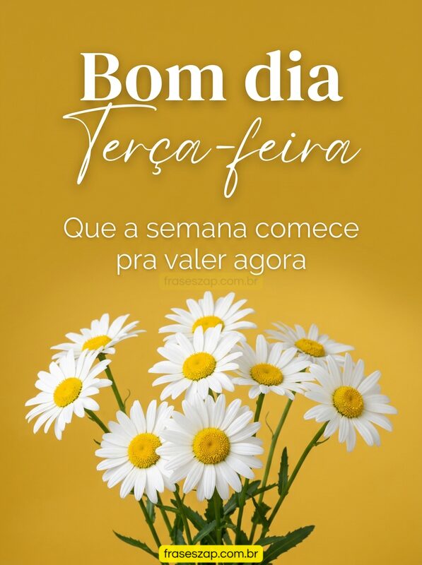 Imagem de terça-feira para compartilhar no WhatsApp