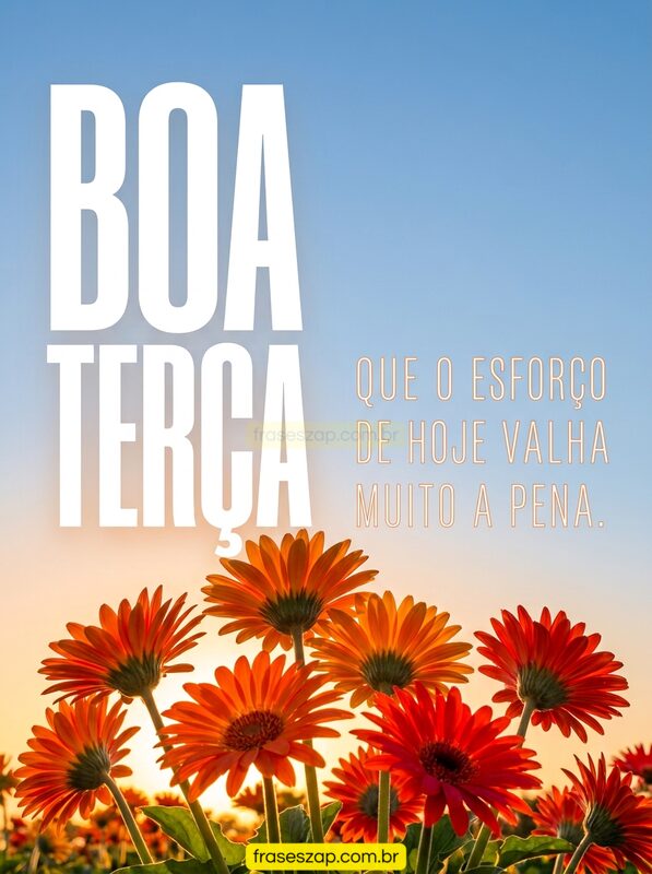 Imagem de terça-feira para compartilhar no WhatsApp