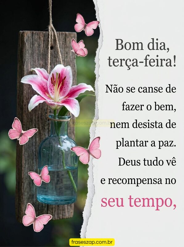 Imagem de terça-feira para compartilhar no WhatsApp
